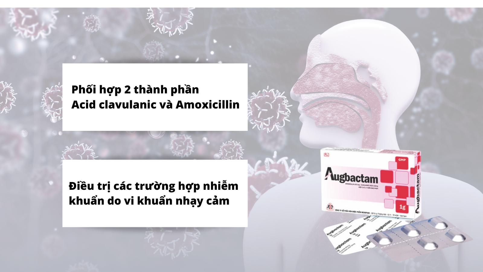 Thuốc được chỉ định để Bắn Cá HZ88 là trò chơi giải trí điện tử c&aacute;c trường hợp nhiễm khuẩn do Trang chủ đăng nhập HZ88 không chặn tặng 88K nhạy cảm