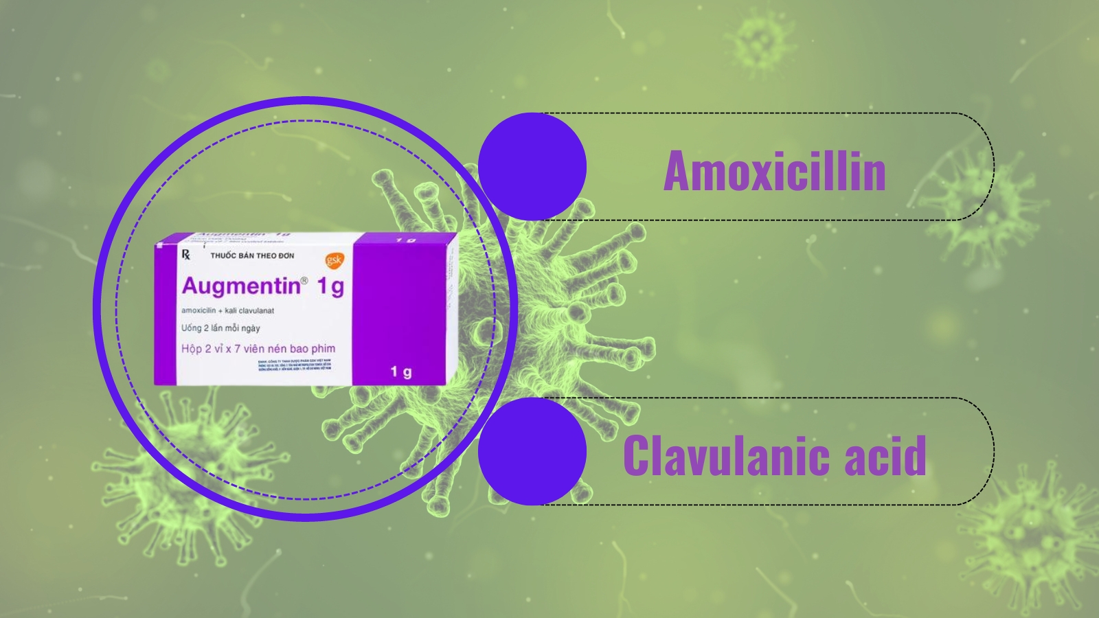 Kết hợp hai hoạt chất Amoxicillin v&agrave; Clavulanic acid gi&uacute;p tăng cường khả năng ti&ecirc;u diệt Trang chủ đăng nhập HZ88 không chặn tặng 88K của Augmentin