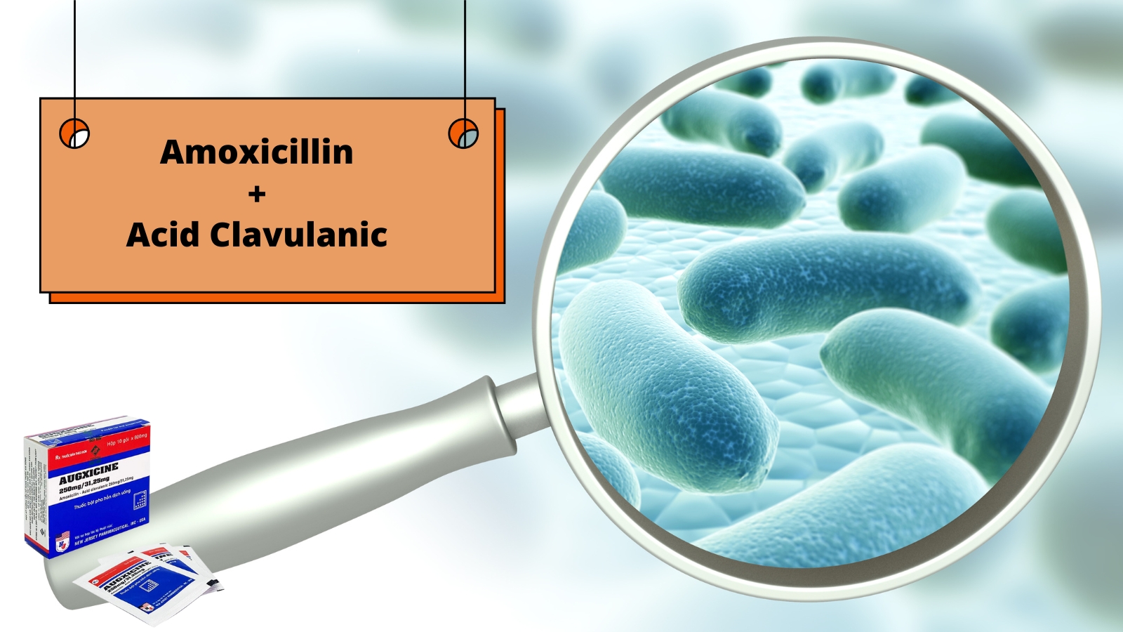 Thuốc Augxicine l&agrave; sự kết hợp của hai th&agrave;nh phần Amoxicillin v&agrave; Acid Clavulanic
