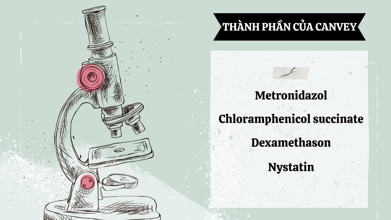 Nh&oacute;m th&agrave;nh phần cấu tạo n&ecirc;n Canvey
