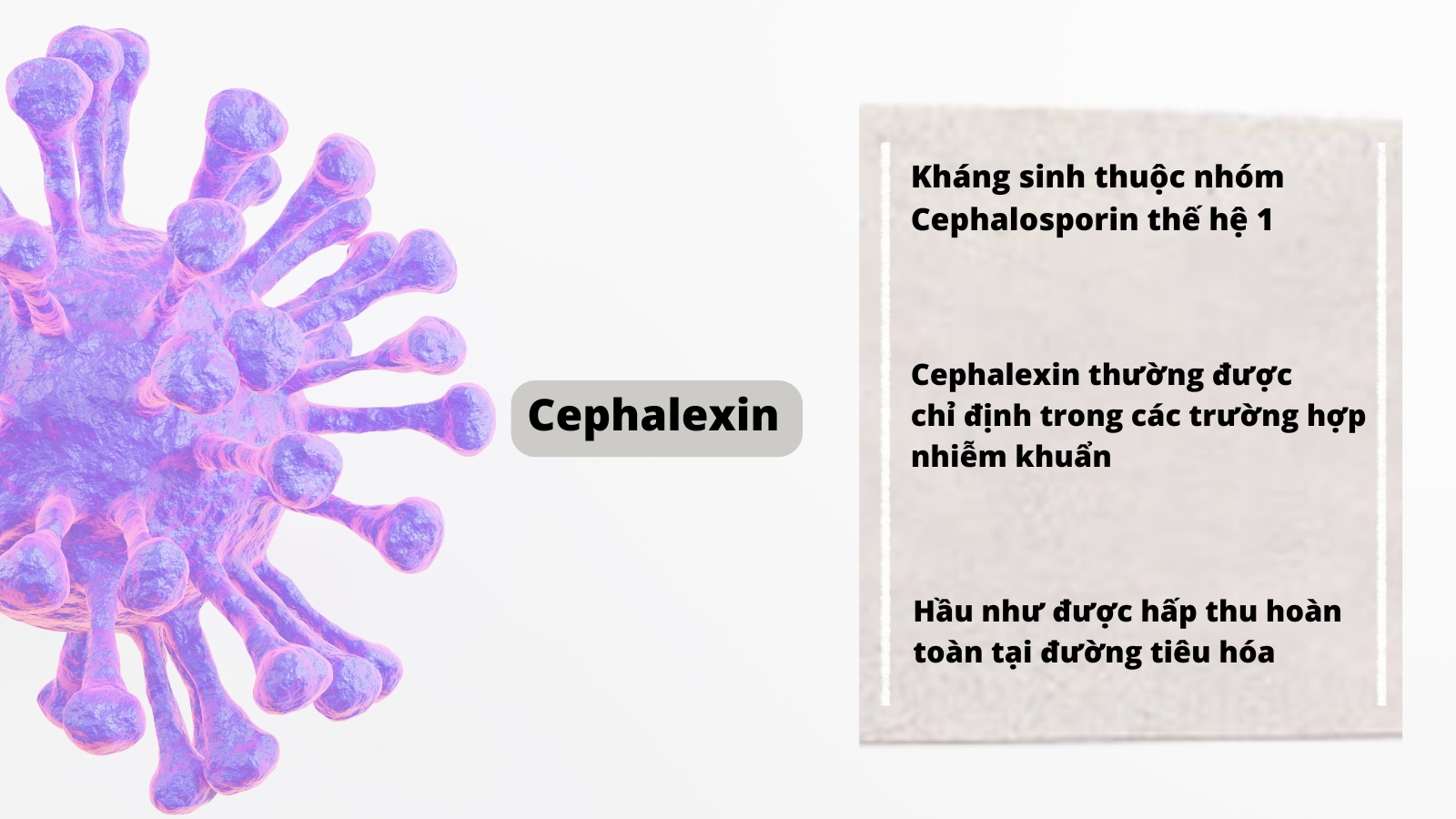 Thuốc được chỉ định sử dụng trong các trường hợp nhiễm khuẩn do các loại Trang chủ đăng nhập HZ88 không chặn tặng 88K gây ra.