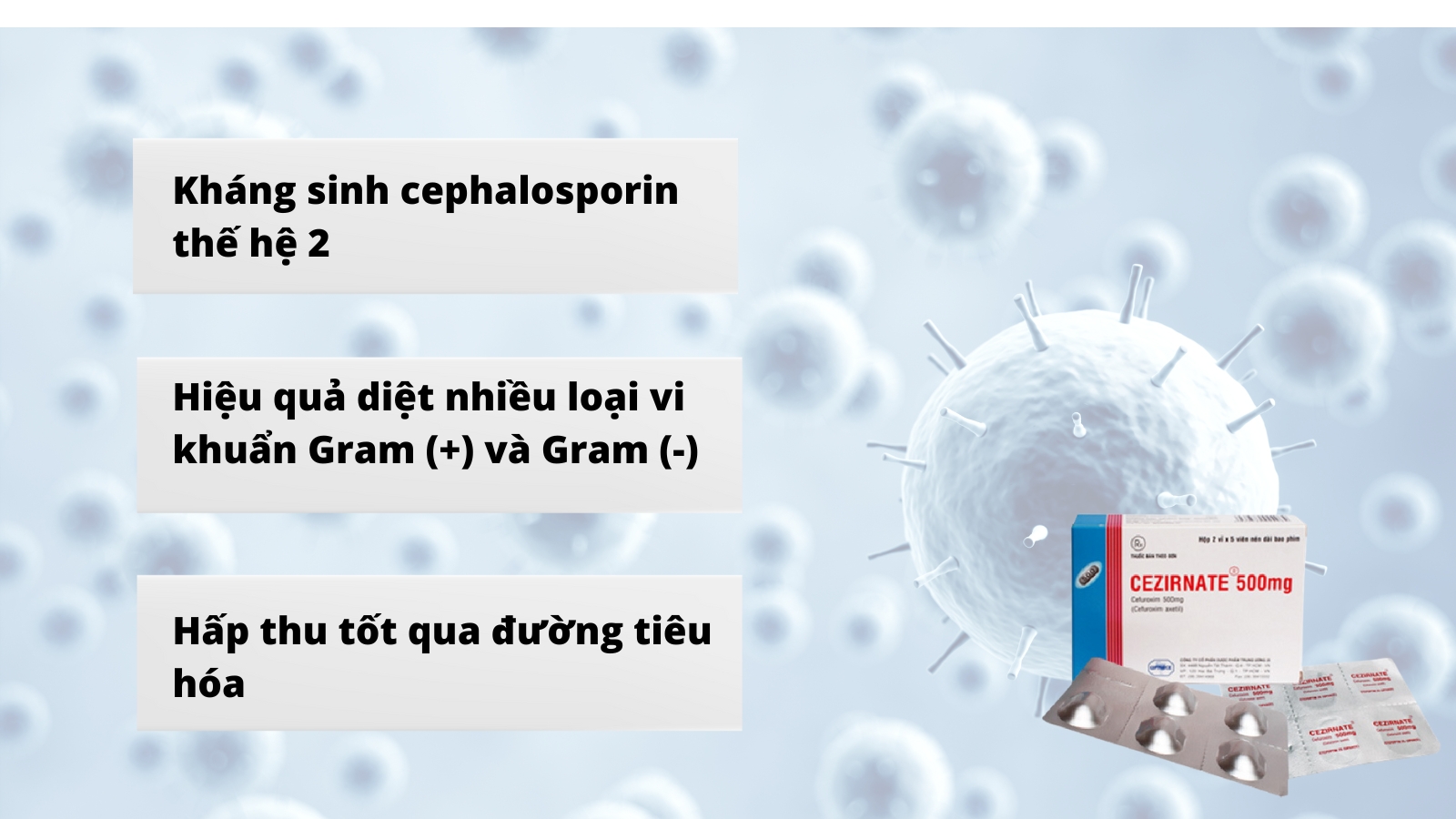  Cefuroxime axetil c&oacute; hiệu quả chống lại nhiều loại Trang chủ đăng nhập HZ88 không chặn tặng 88K Gram dương v&agrave; Gram &acirc;m