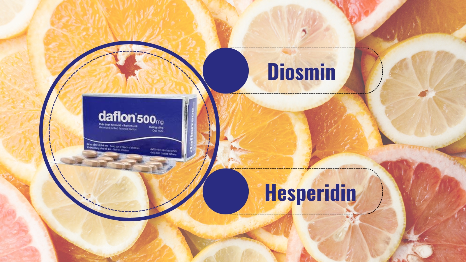 Sự kết hợp của Diosmin v&agrave; Hesperidin mang lại nhiều lợi &iacute;ch chống lại suy yếu tĩnh mạch