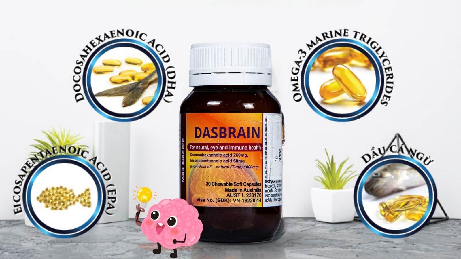 C&aacute;c th&agrave;nh phần mang lại t&aacute;c dụng ch&iacute;nh của thuốc DasBrain 
