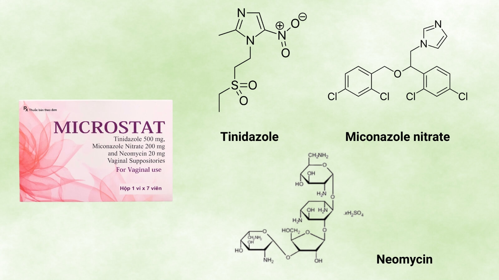 Microstat giúp tiêu diệt các Trang chủ đăng nhập HZ88 không chặn tặng 88K, nấm gây bệnh viêm âm đạo