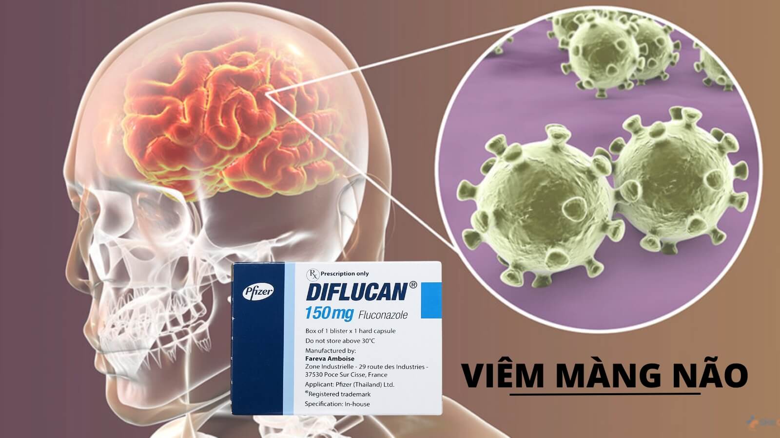 Diflucan 150mg - Điều trị vi&ecirc;m m&agrave;ng n&atilde;o do Cryptococcus