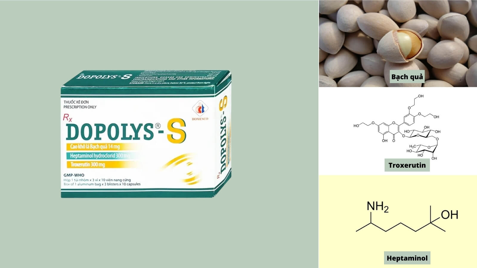 C&aacute;c th&agrave;nh phần c&oacute; trong Thuốc Dopolys-S Domesco 