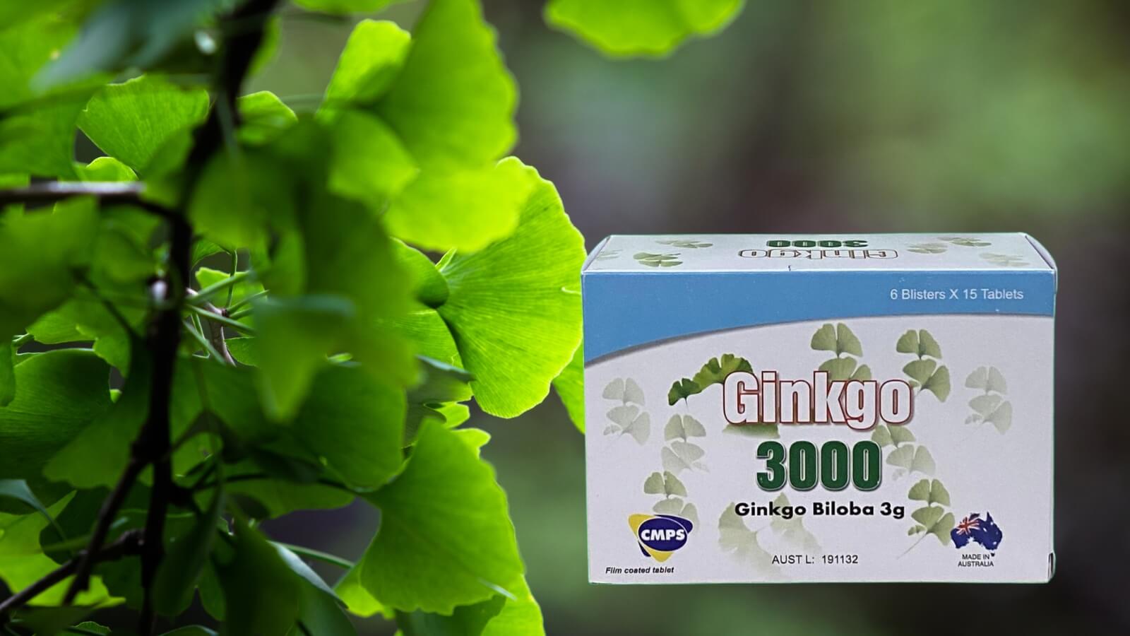 Sản phẩm chứa h&agrave;m lượng cao Ginkgo biloba