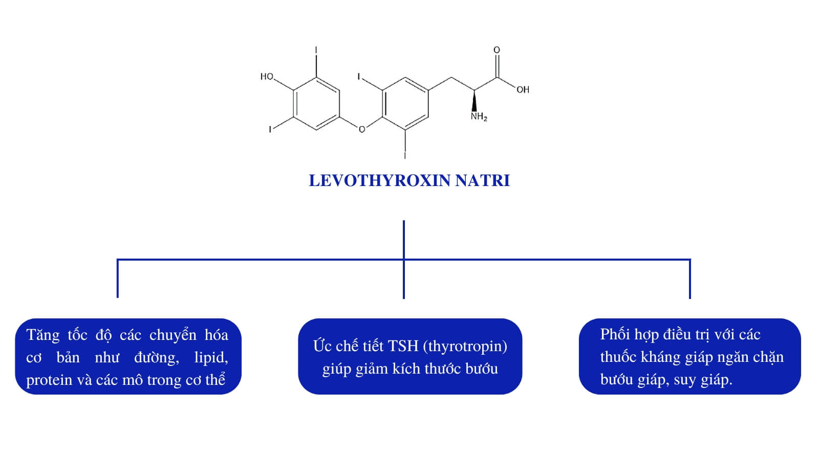 Levothyroxin tăng cường hormone tuyến gi&aacute;p cho cơ thể