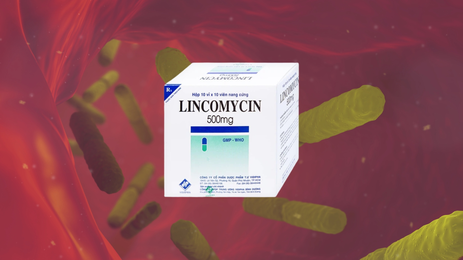 Lincomycin c&oacute; thể Bắn Cá HZ88 là trò chơi giải trí điện tử được c&aacute;c nhiễm khuẩn nặng, bao gồm cả nhiễm khiaanr huyết