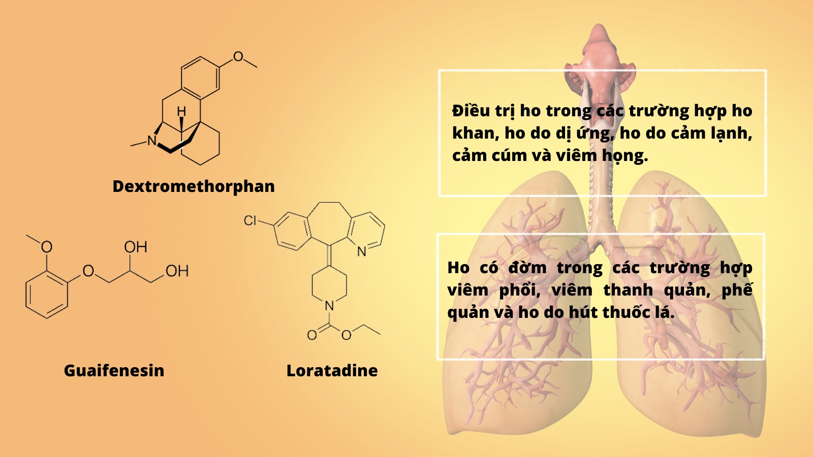 Gồm ba th&agrave;nh phần c&oacute; t&aacute;c dụng giảm ho, long đờm