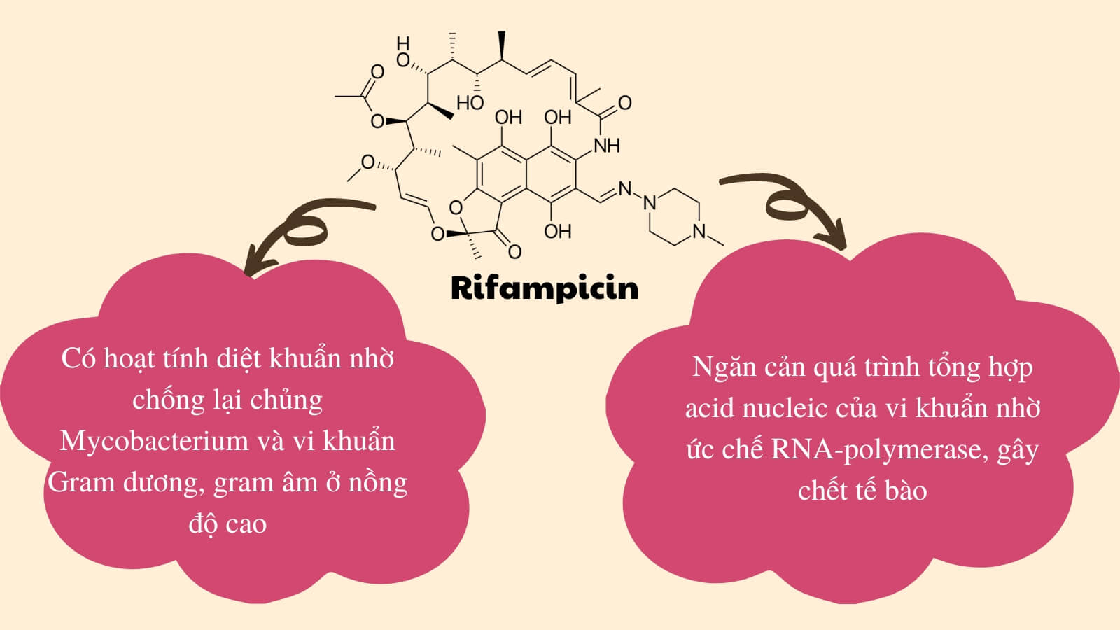 Rifampicin có hoạt tính diệt khuẩn, hiệu quả trong Bắn Cá HZ88 là trò chơi giải trí điện tử lao, phong