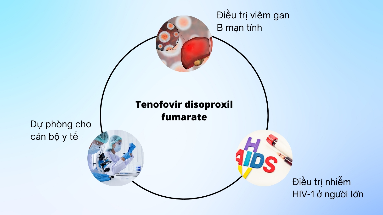 Gi&uacute;p ngăn chặn việc nh&acirc;n l&ecirc;n của ch&uacute;ng trong cơ thể con người. 