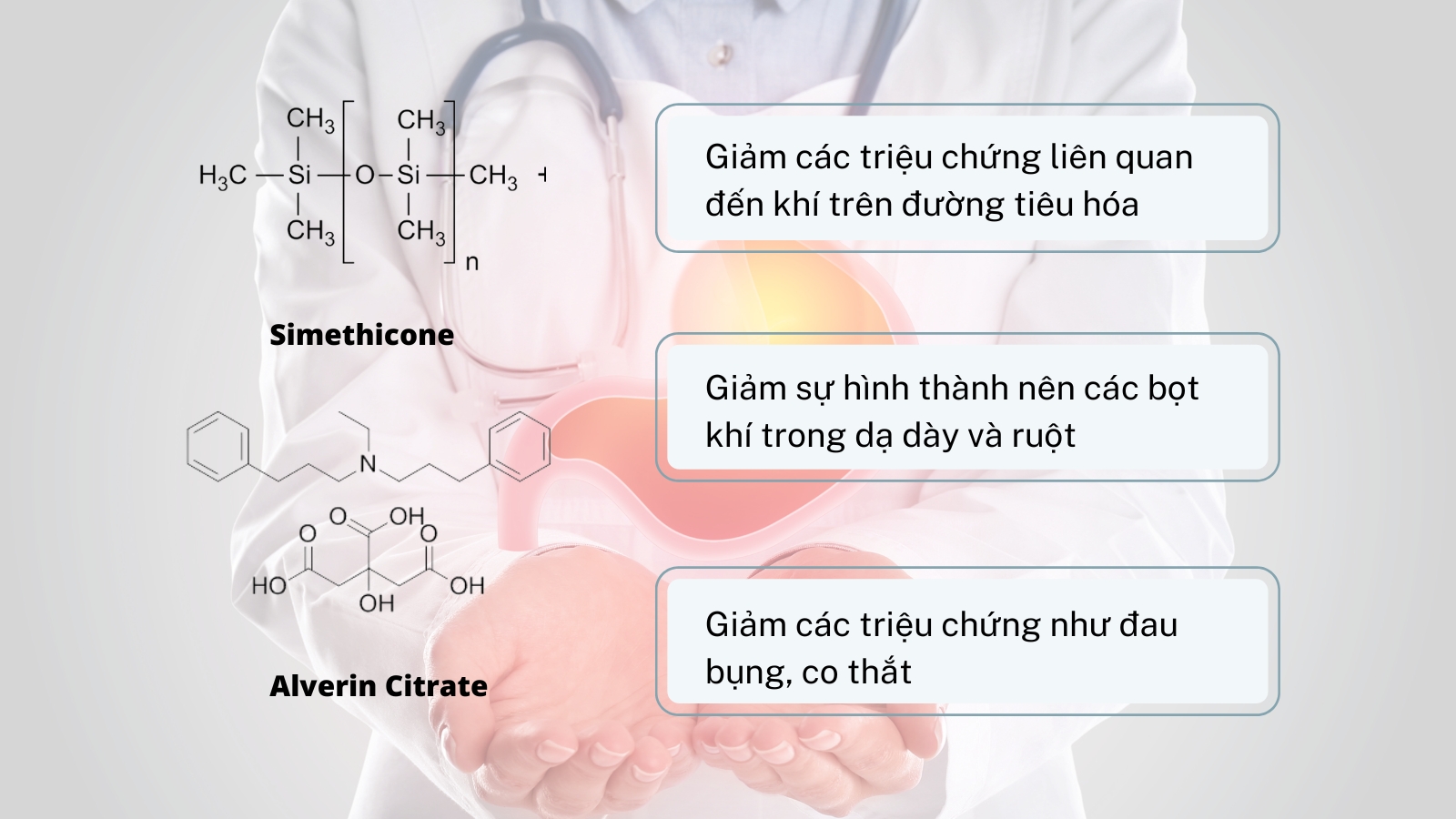Hoạt chất gi&uacute;p giảm c&aacute;c triệu chứng như sưng bụng, đầy bụng v&agrave; đau do kh&iacute;.