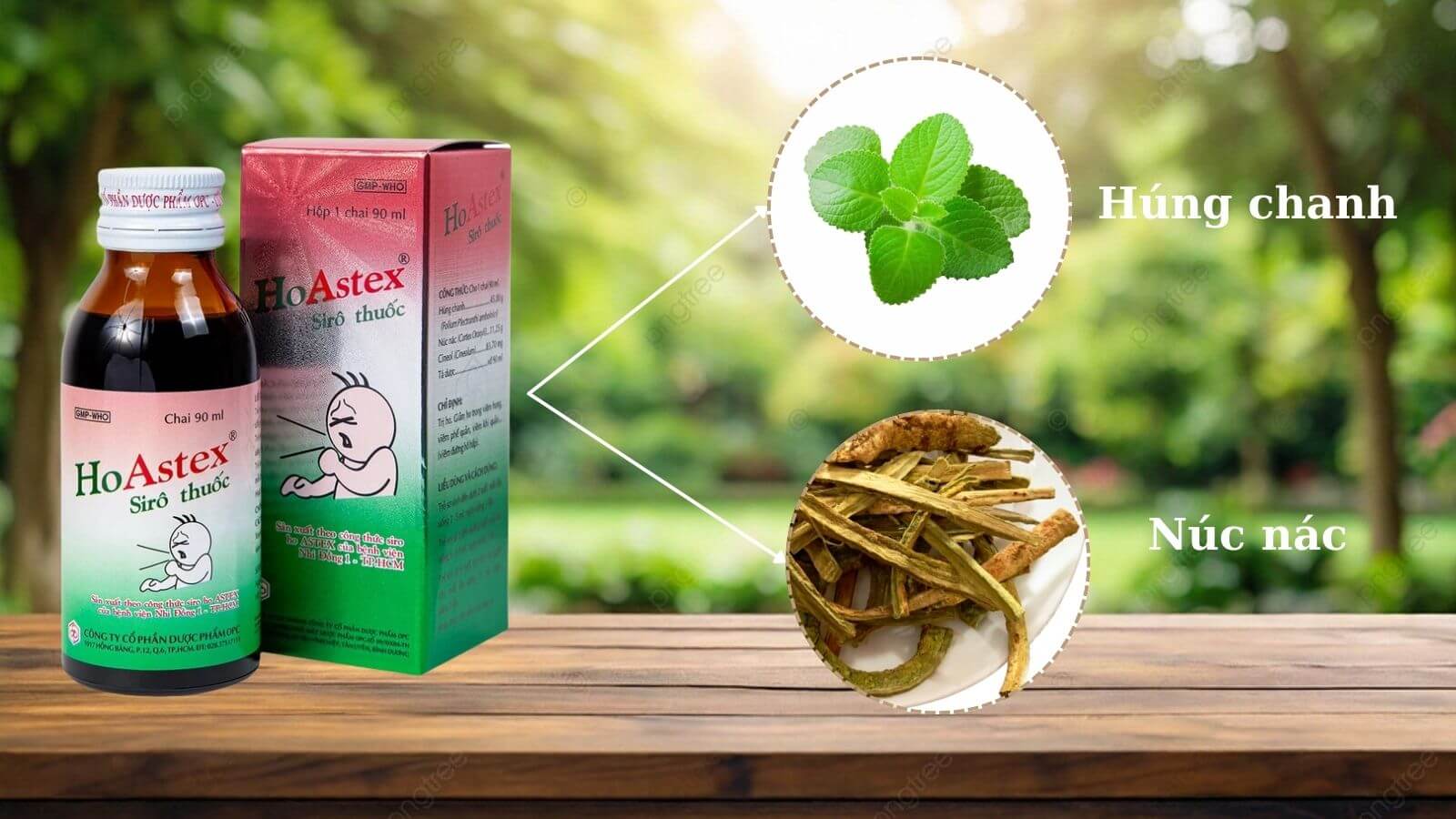 Th&agrave;nh phần thảo dược trong siro ho astex c&oacute; t&aacute;c dụng chữa ho 