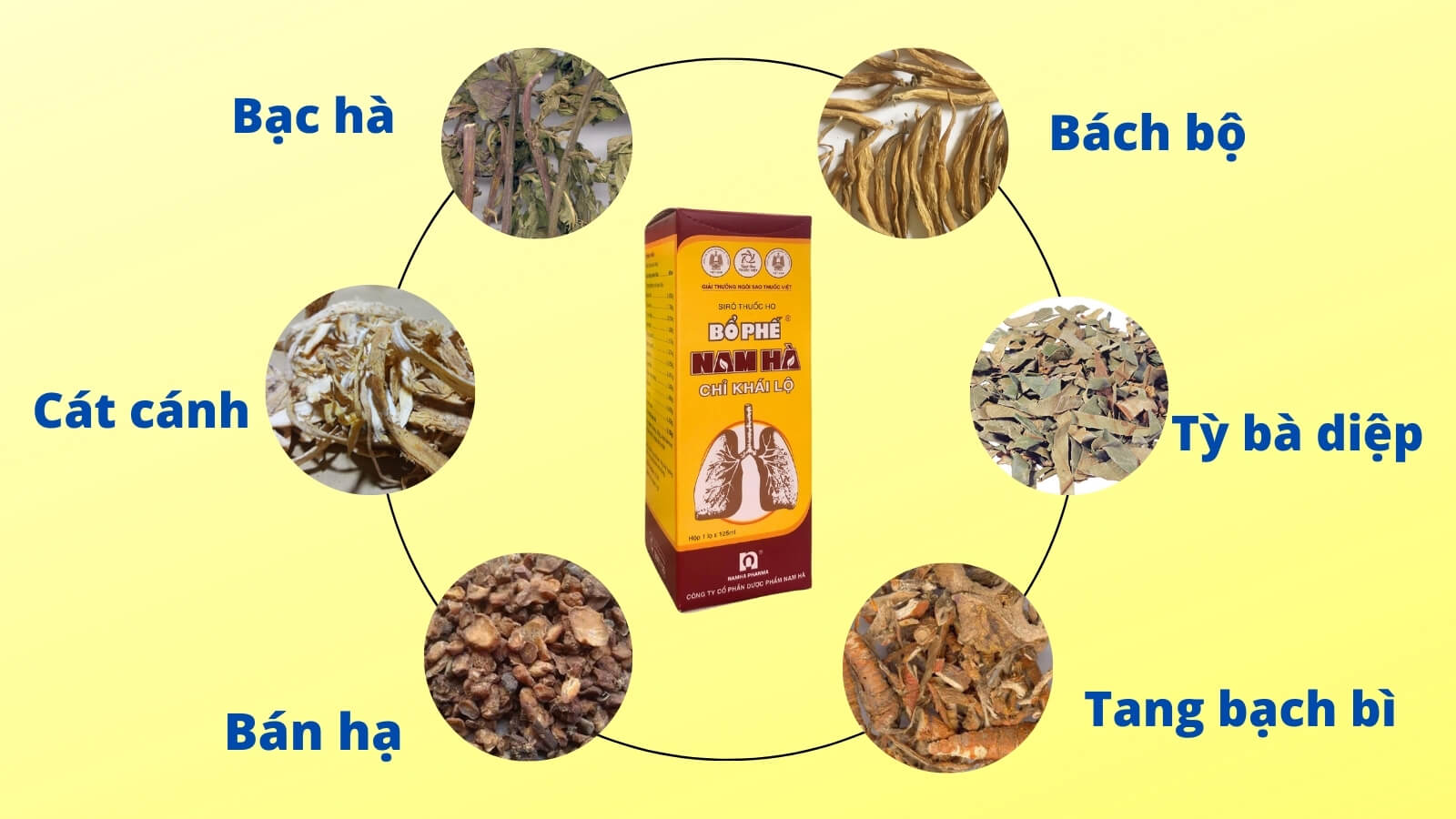 Bổ Phế Nam H&agrave; chỉ kh&aacute;i lộ chứa c&aacute;c th&agrave;nh phần gi&uacute;p trị ho, long đờm hiệu quả