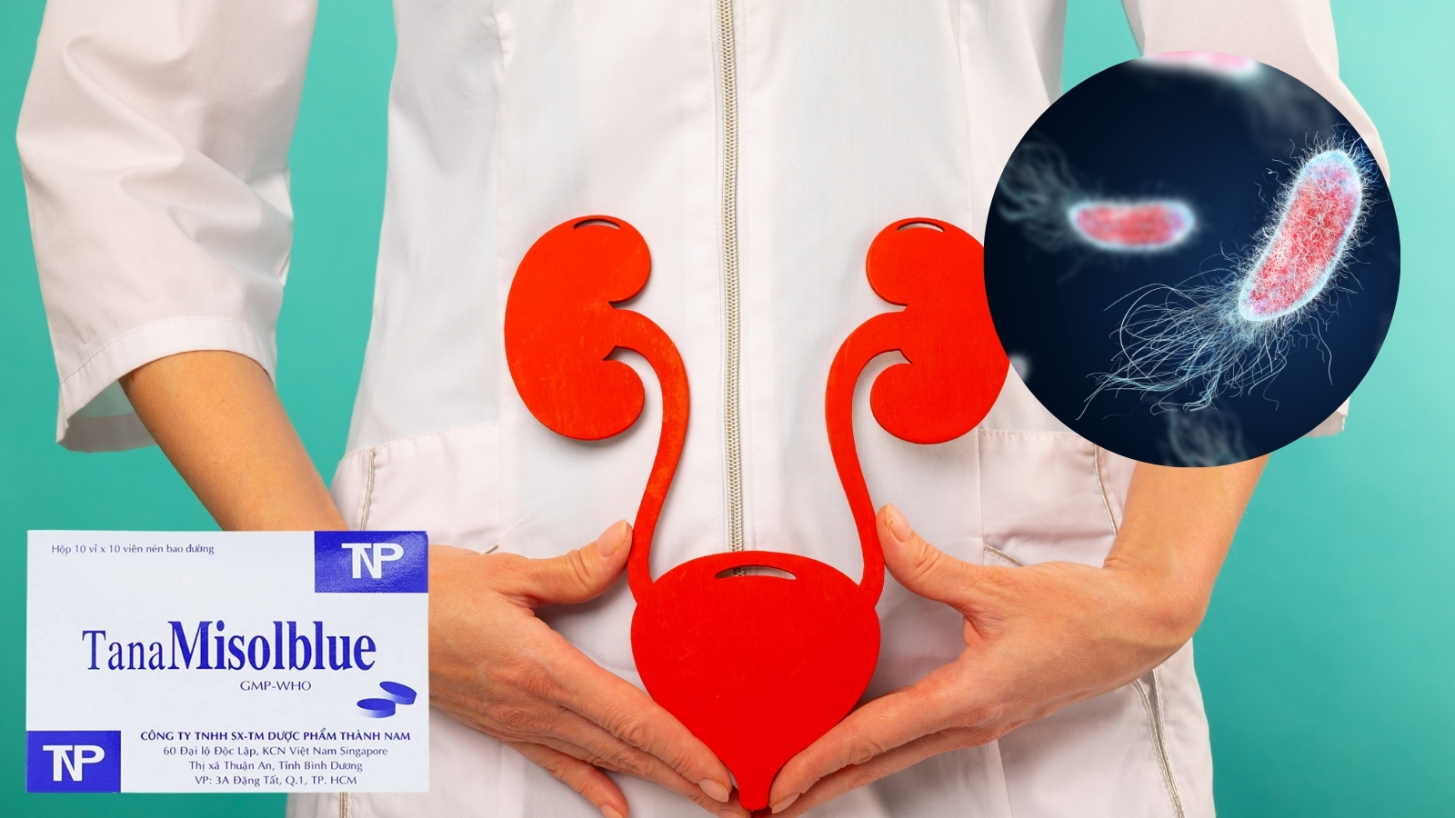 Thuốc được chỉ định hỗ trợ c&aacute;c t&igrave;nh trạng vi&ecirc;m, đau trong nhiễm tr&ugrave;ng đường tiết niệu