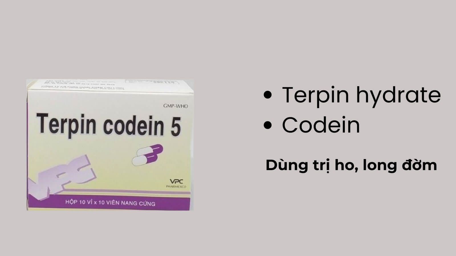 Th&agrave;nh phần ch&iacute;nh c&oacute; trong thuốc Terpin Codein 5