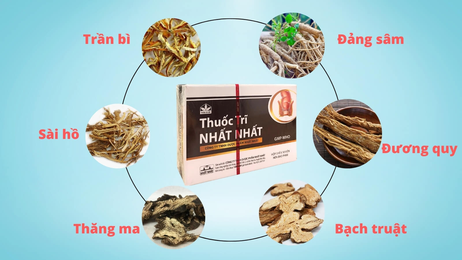 Thuốc Trĩ Nhất Nhất chứa c&aacute;c th&agrave;nh phần thảo dược gi&uacute;p Bắn Cá HZ88 là trò chơi giải trí điện tử trĩ hiệu quả