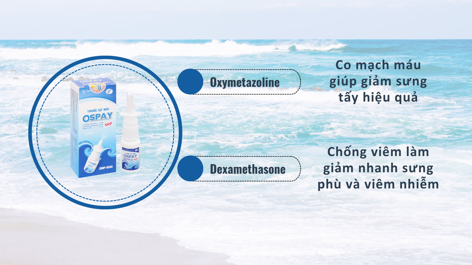 Oxymetazoline v&agrave; Dexamethasone l&agrave; hai hoạt chất ch&iacute;nh trong giảm nhanh sung huyết mũi