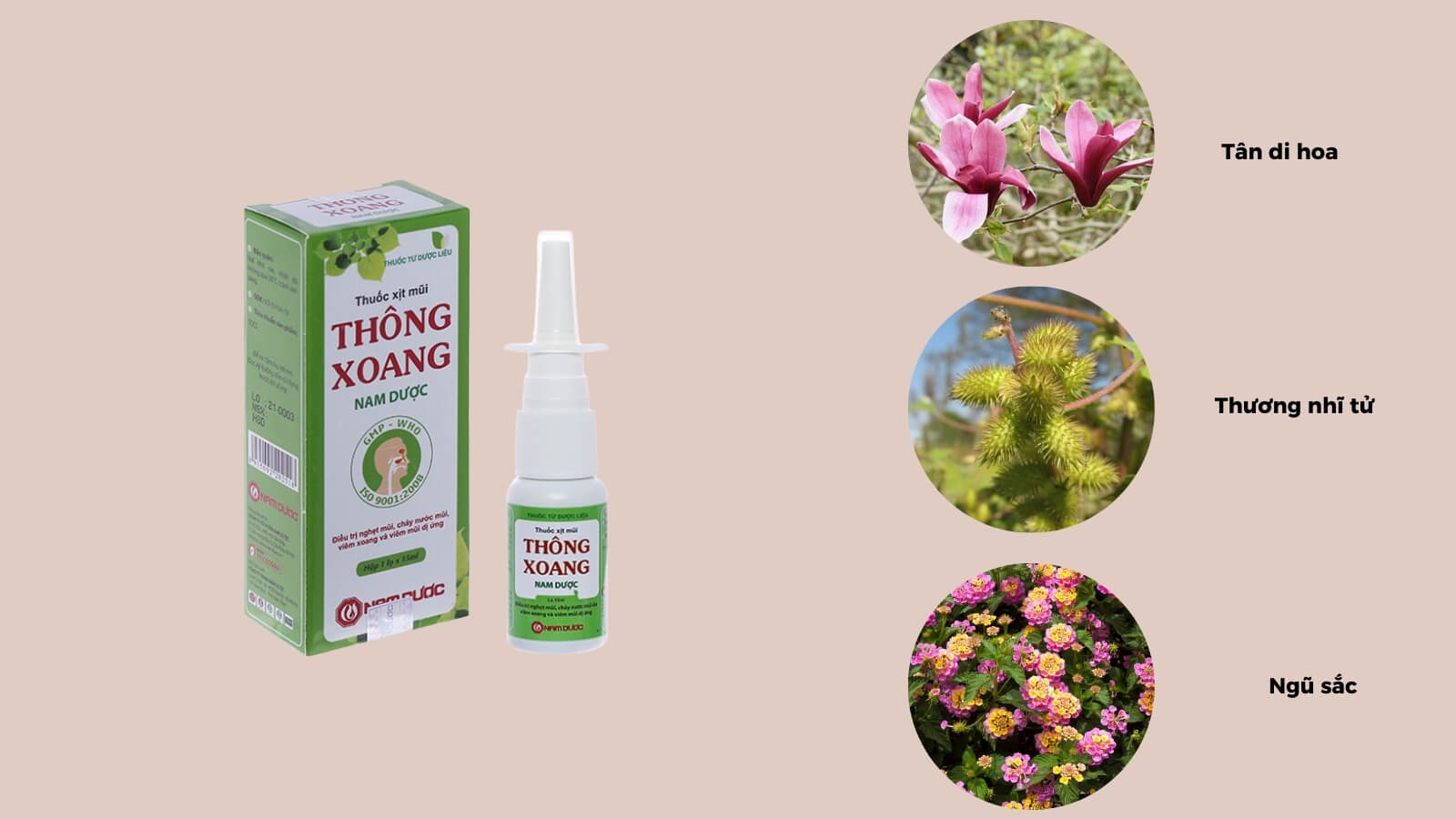 C&aacute;c th&agrave;nh phần c&oacute; trong sản phẩm thuốc xịt mũi Th&ocirc;ng Xoang Nam Dược