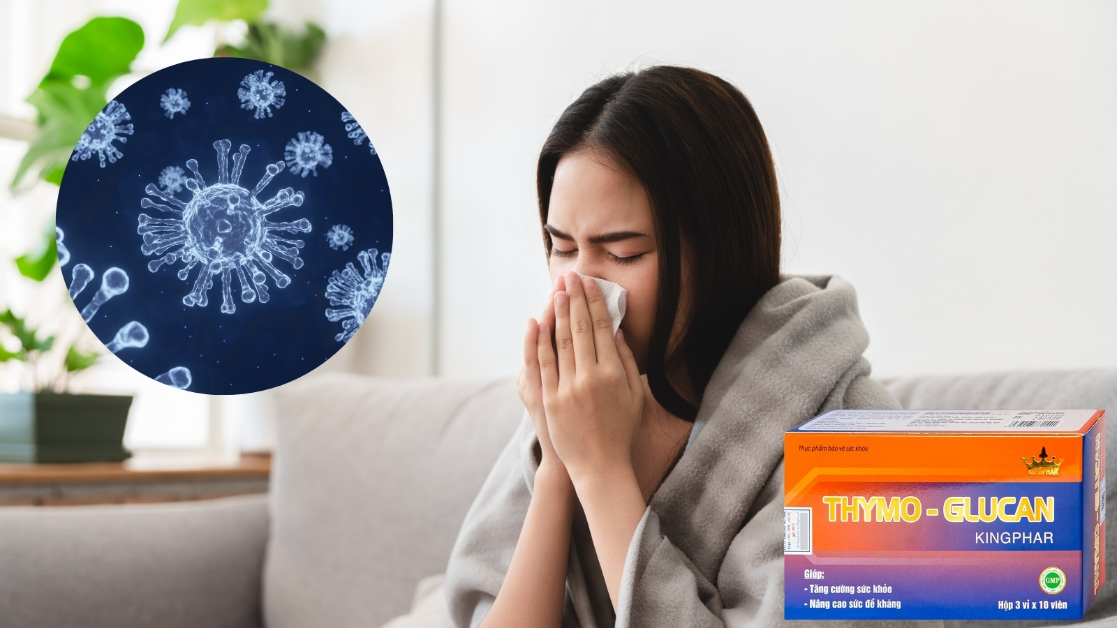 Vi&ecirc;n uống Thymo-Glucan Kingphar gi&uacute;p tăng cường sức đề kh&aacute;ng, n&acirc;ng cao Hz888 đăng ký nhanh 