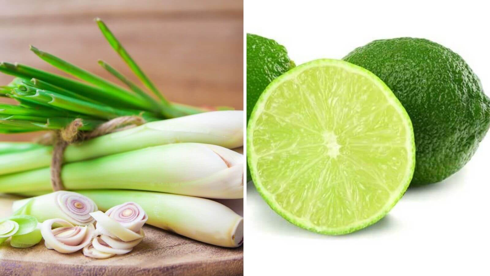 Th&agrave;nh phần ch&iacute;nh của tinh dầu sả chanh