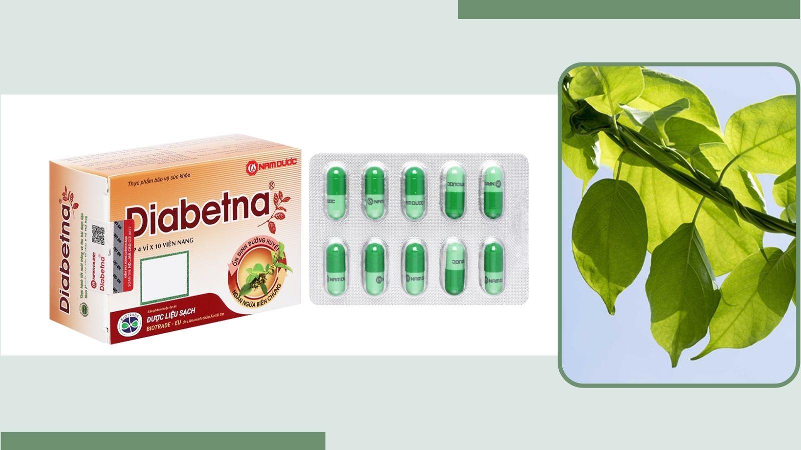 Tr&agrave; Diabetna Hỗ Trợ điều Trị Tiểu đường
