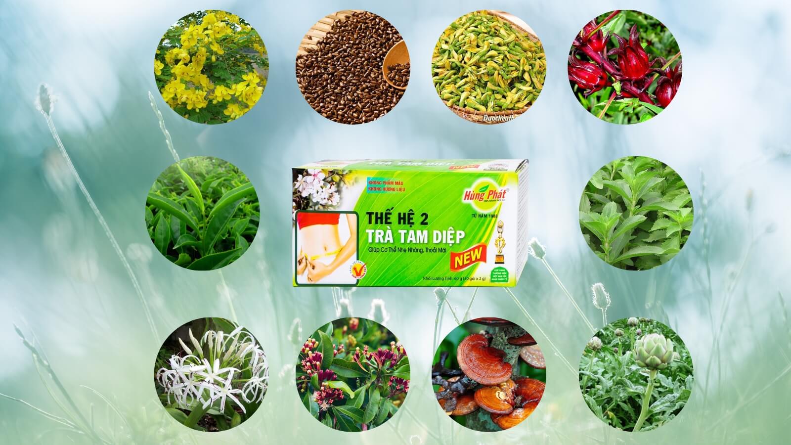 Tr&agrave; giảm c&acirc;n Tam Diệp H&ugrave;ng Ph&aacute;t thế hệ 2  với th&agrave;nh phần chiết suất từ thi&ecirc;n ni&ecirc;n.