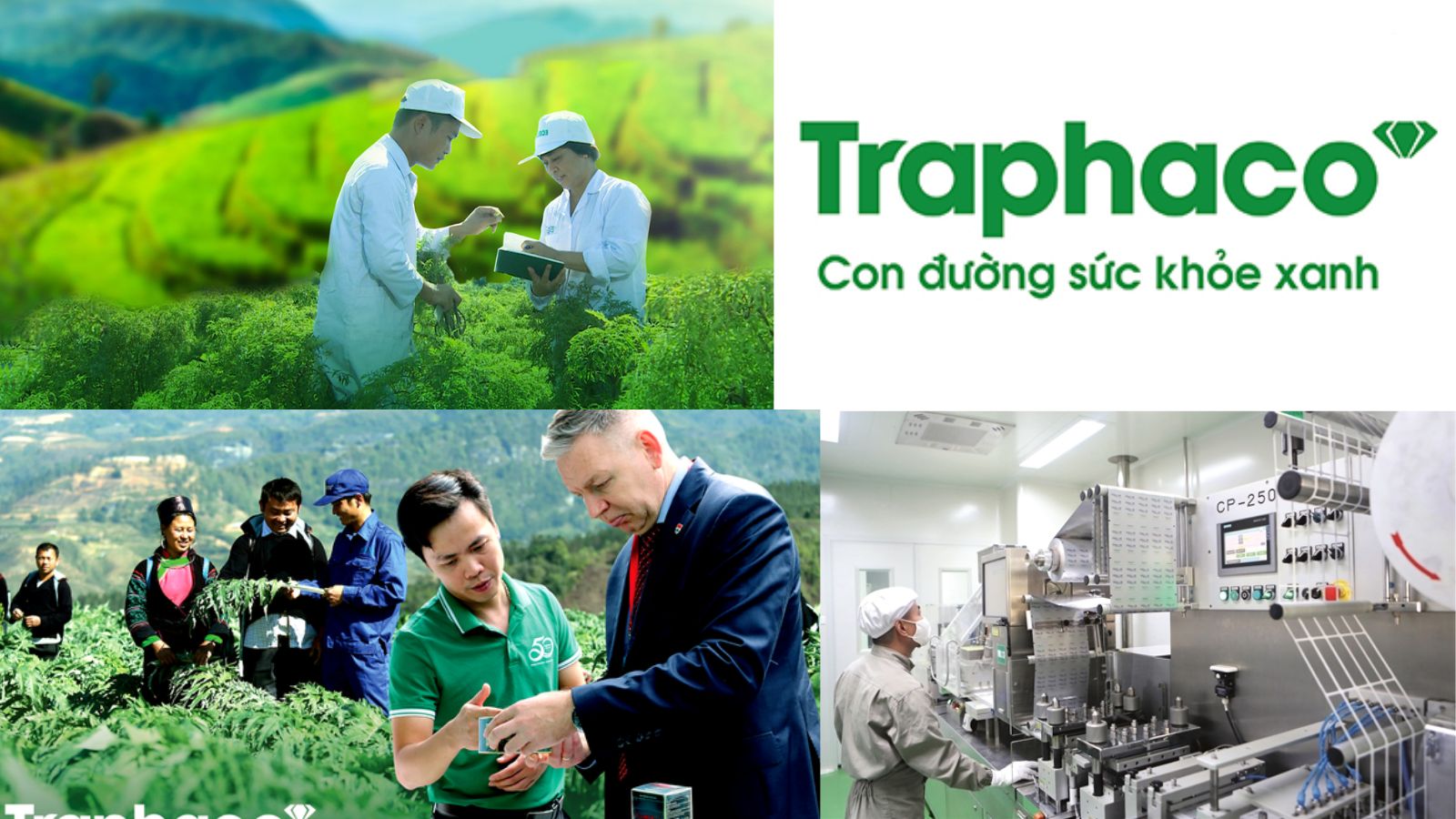 Tr&agrave; thảo dược Boganic - 1 sản phẩm của Thương hiệu Traphaco