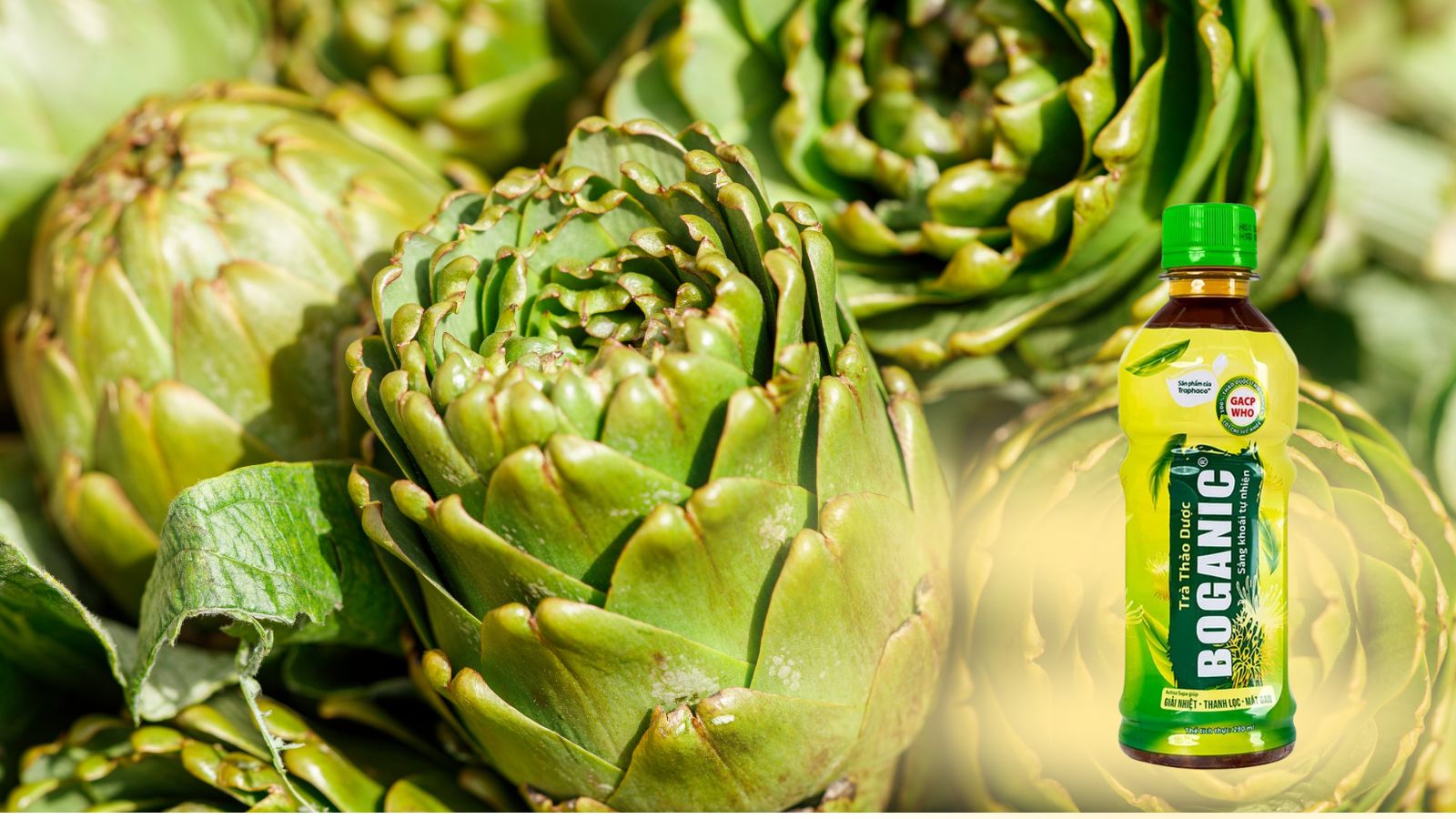 Tr&agrave; thảo dược Boganic giải độc gan