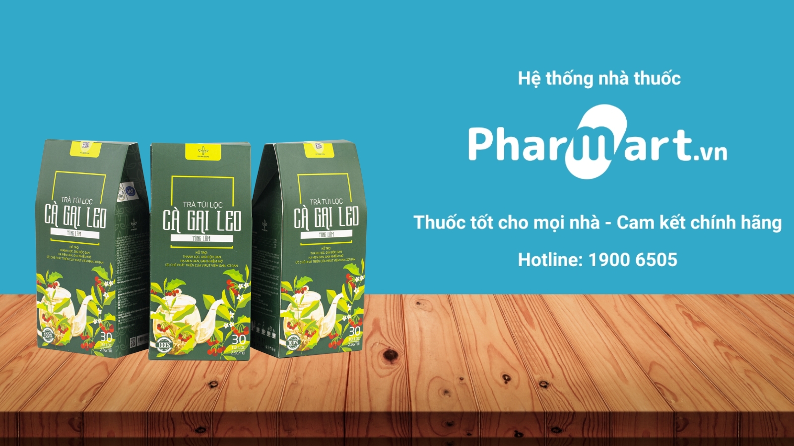 Mua Trà túi lọc Cà gai leo chính hãng tại Hz888a.com.