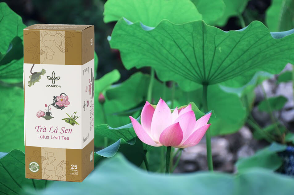 Th&agrave;nh phần ch&iacute;nh của t&uacute;i tr&agrave; l&agrave;m từ 90% l&aacute; sen