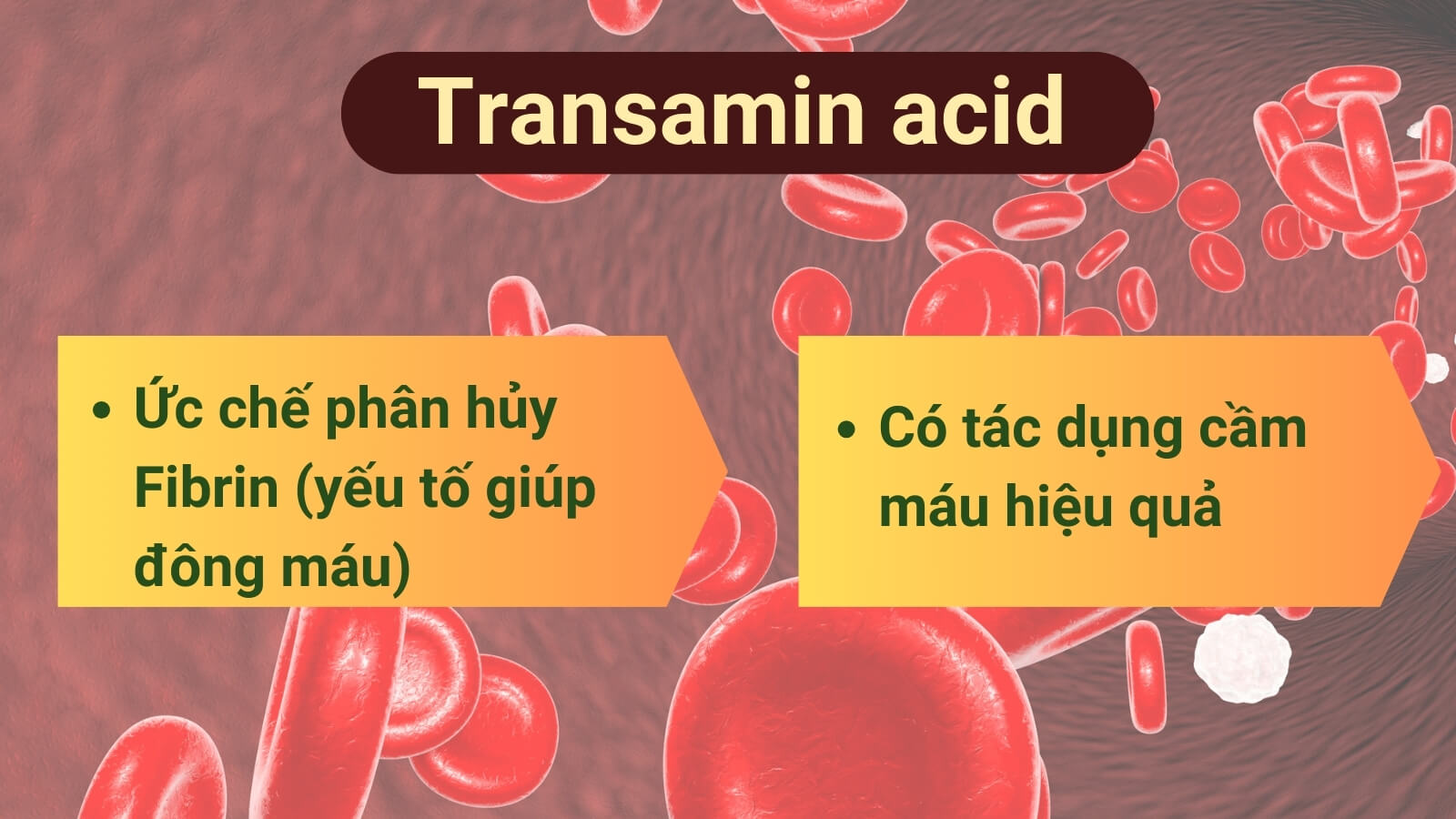 Tranexamic acid c&oacute; t&aacute;c dụng cầm m&aacute;u hiệu quả