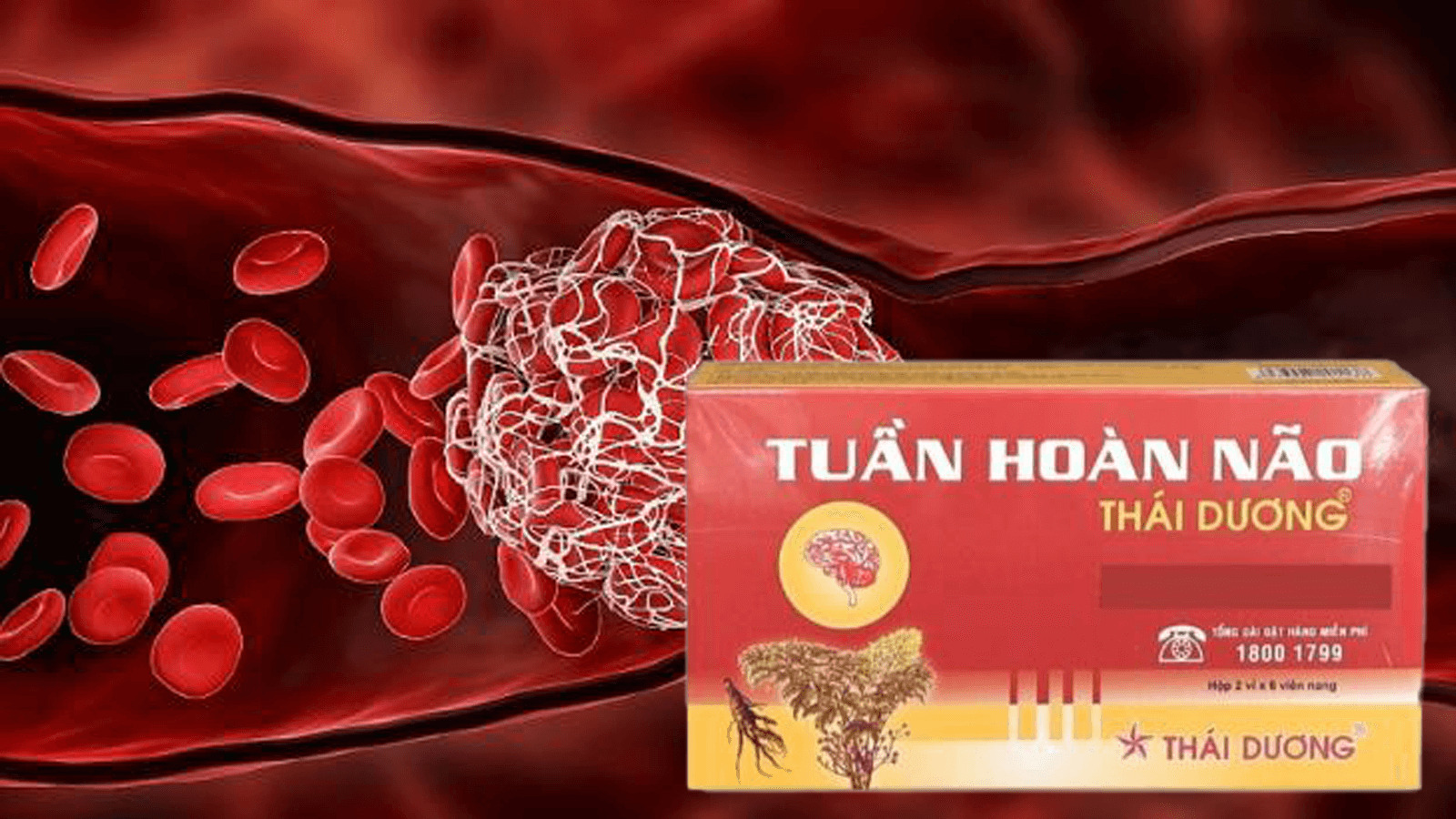 Vi&ecirc;n tuần ho&agrave;n m&aacute;u n&atilde;o Th&aacute;i Dương