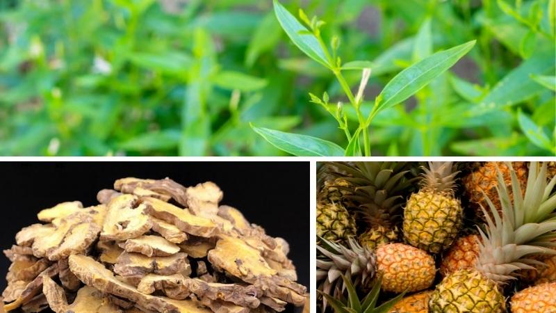 Vegtin Xuy&ecirc;n t&acirc;m li&ecirc;n c&oacute; th&agrave;nh phần chiết xuất từ thảo dược