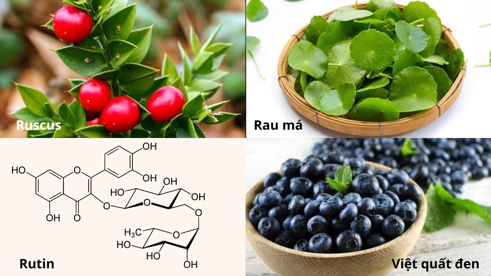 Th&agrave;nh phần chiết xuất ho&agrave;n to&agrave;n từ thi&ecirc;n nhi&ecirc;n