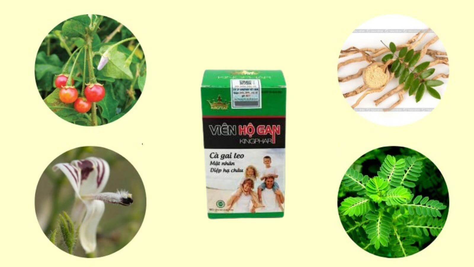 Th&agrave;nh phần của Vi&ecirc;n Hộ Gan Kingphar