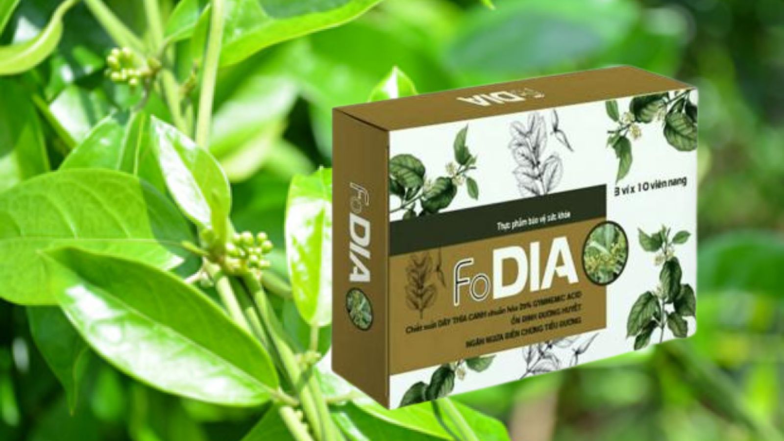 Vi&ecirc;n uống hỗ trợ giảm đường huyết FoDIA