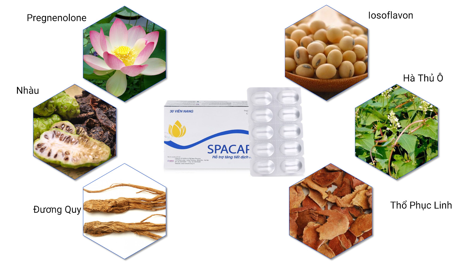 Spacaps c&oacute; th&agrave;nh phần thi&ecirc;n nhi&ecirc;n an to&agrave;n, l&agrave;nh t&iacute;nh