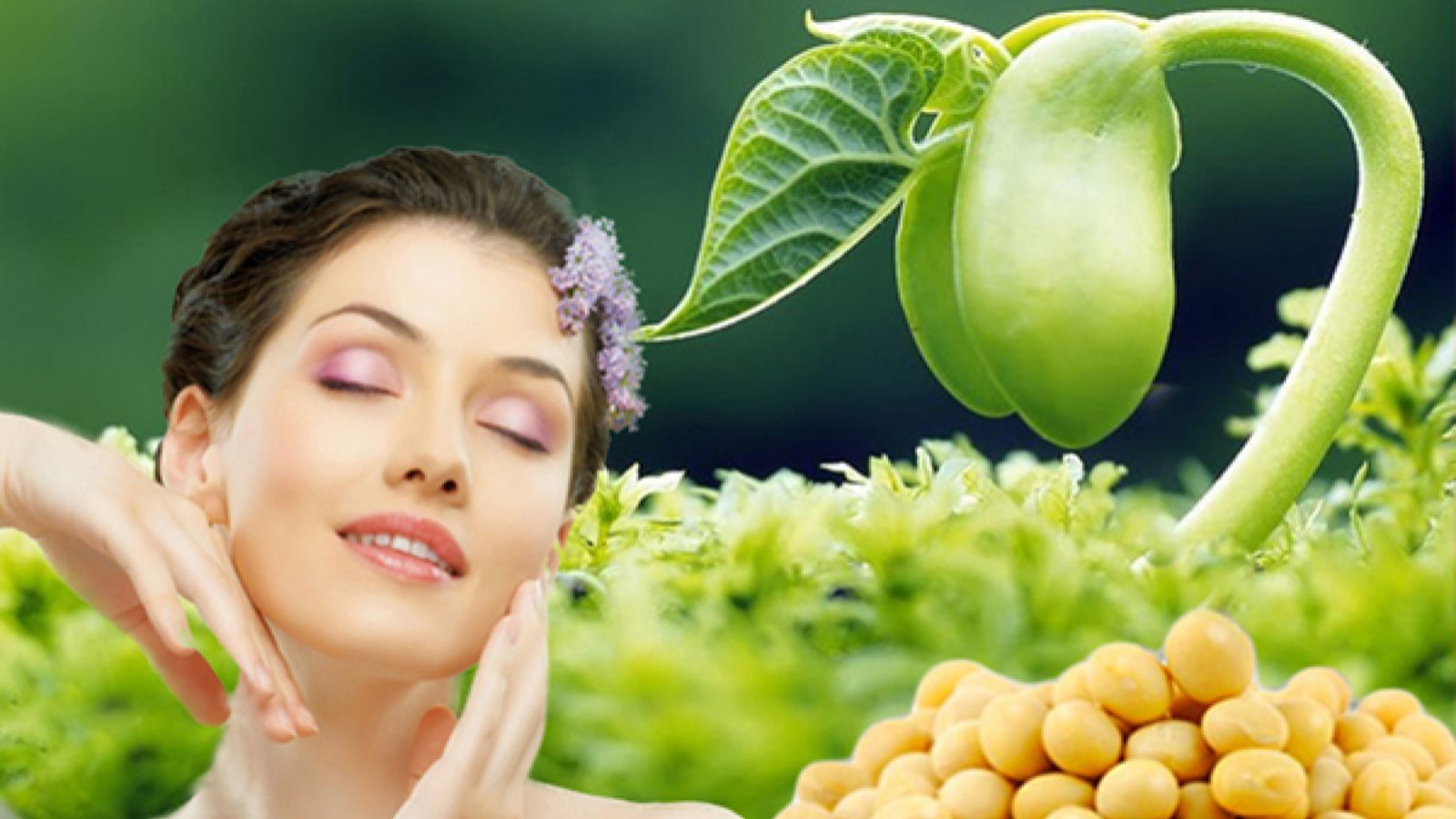 Spacaps c&oacute; chứa tinh chất mầm đậu n&agrave;nh gi&uacute;p ngăn ngừa l&atilde;o h&oacute;a