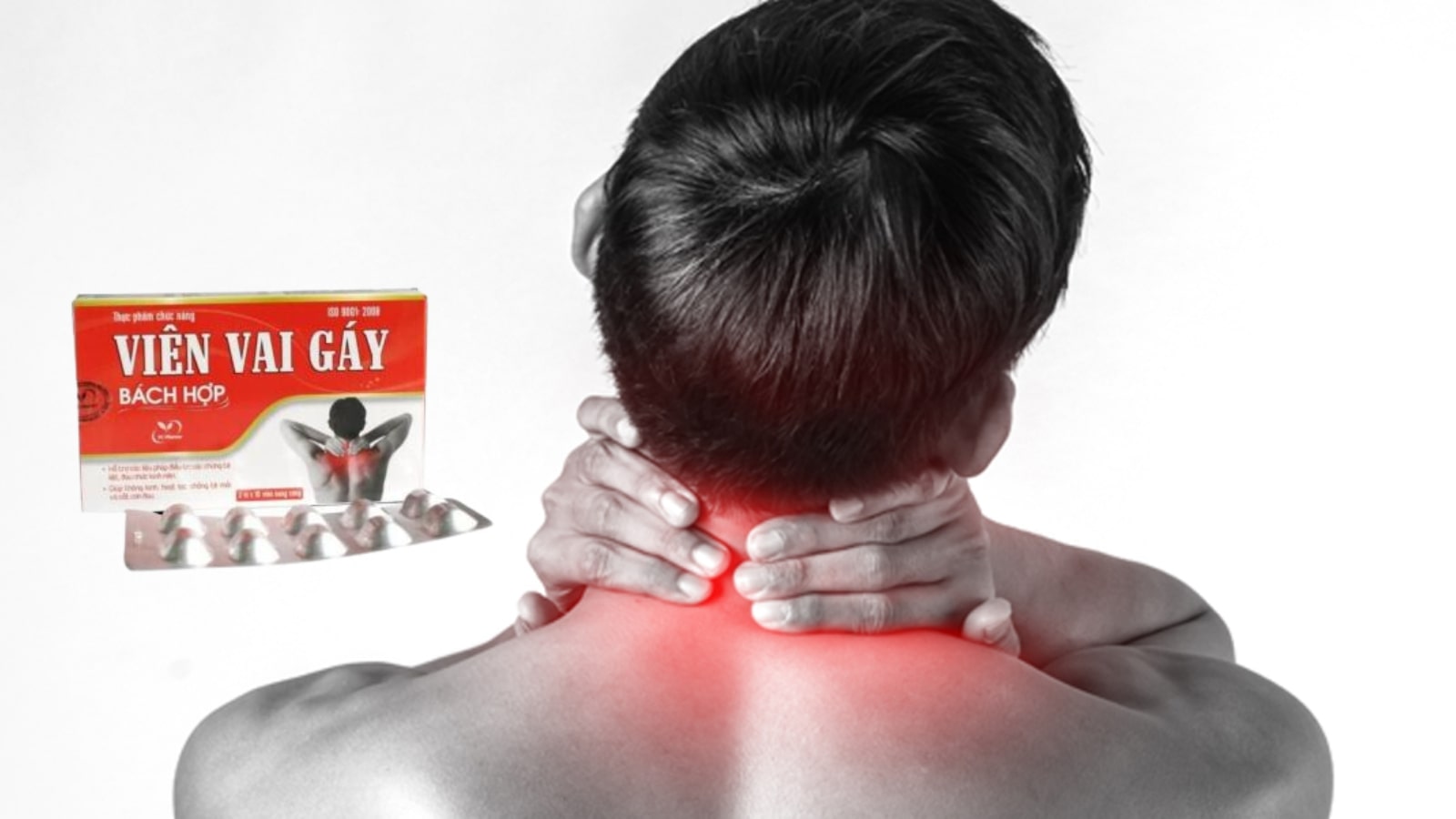 Vi&ecirc;n vai g&aacute;y B&aacute;ch Hợp