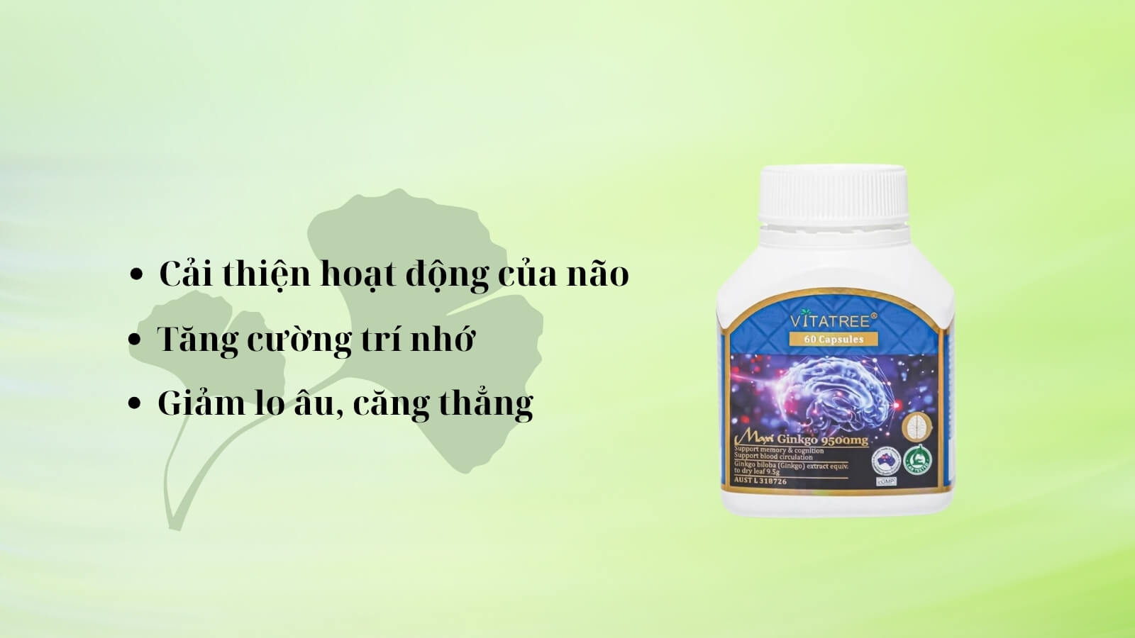 Th&agrave;nh phần ch&iacute;nh l&agrave; chiết xuất từ Bạch quả