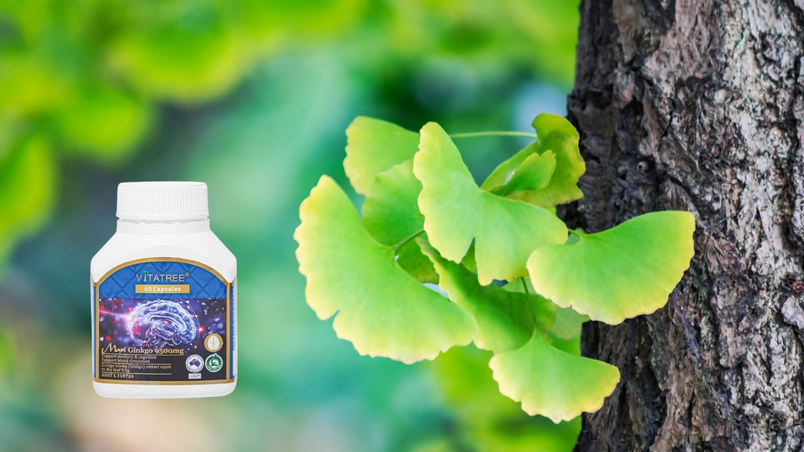 Vitatree Maxi Ginkgo 9500mg gi&uacute;p tăng cường chức năng n&atilde;o bộ