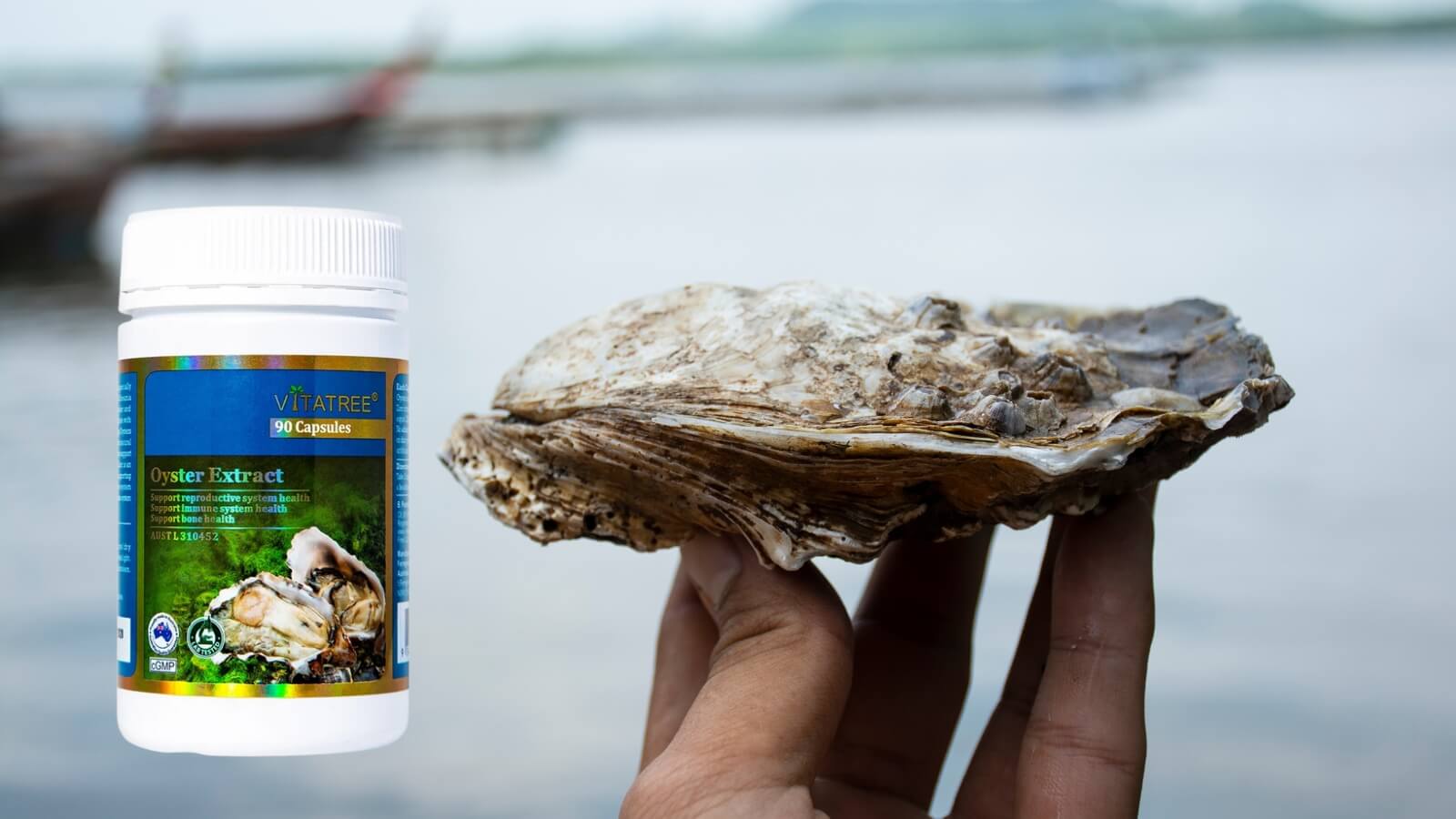 Vitatree Oyster Extract chiết xuất từ h&agrave;u &Uacute;c