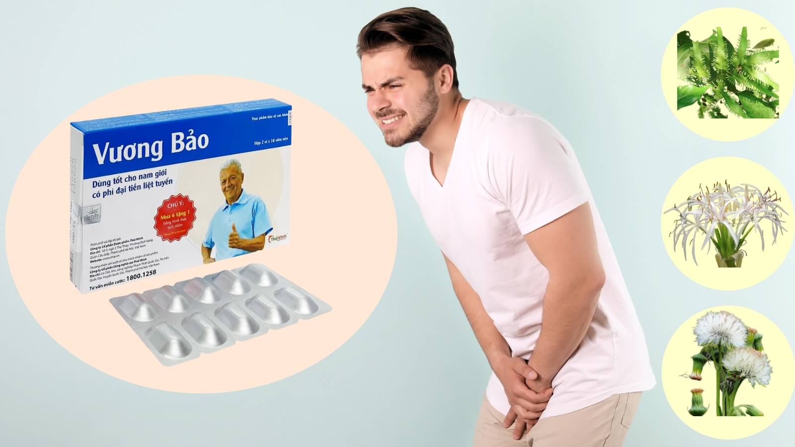 Th&agrave;nh phần ch&iacute;nh của Vương bảo hộp 20 vi&ecirc;n
